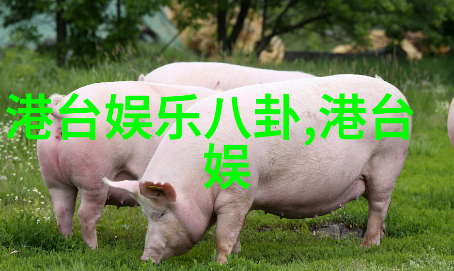 星辰之下影幕升起未知的夜空电影之谜