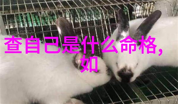 2023年度电影盛宴全球华语片新亮点与国际巨作回归