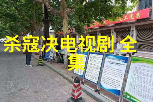 《江湖风云：杀寇决电视剧 全集揭秘》