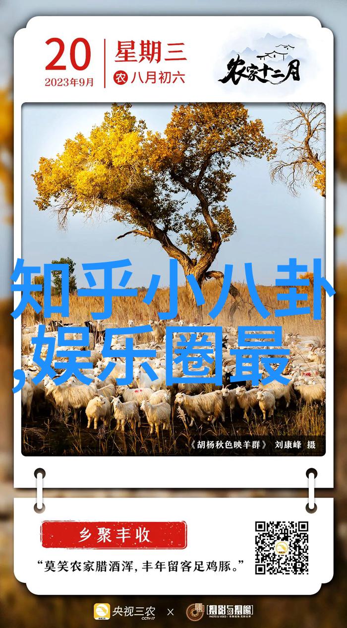 三级国度揭秘韩国影坛的隐秘花园