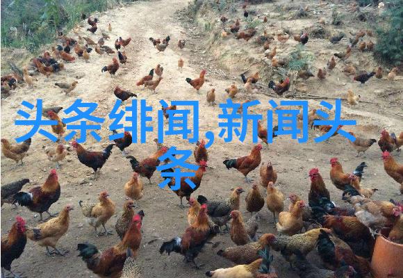 网红争议吴秀波行为引发公众讨论