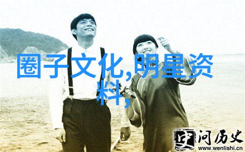 大师兄影视大全免费尽享经典电视剧之旅
