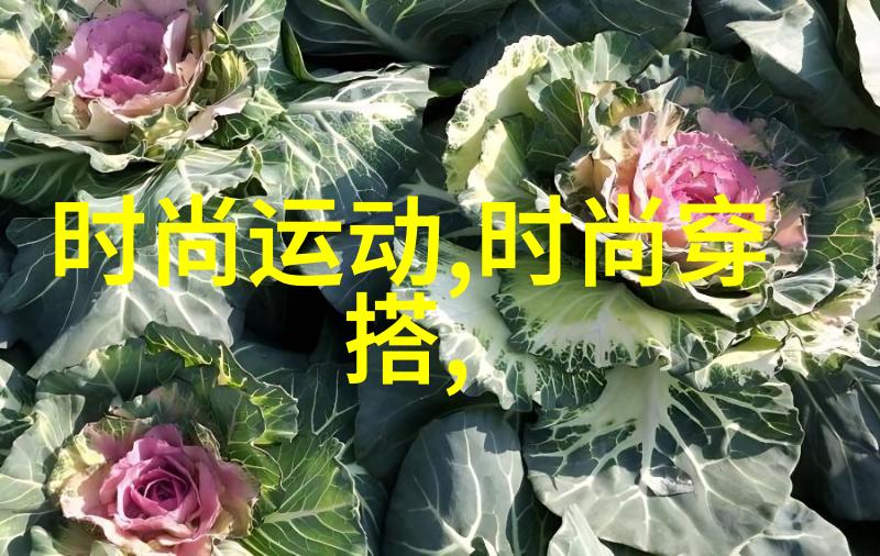 刘涛功夫高超刘涛的武侠风格和精湛技艺