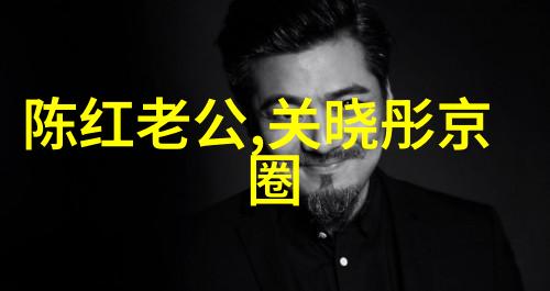 麻花星空影视传媒制作公司31岁何洁与25岁胡冰卿同台现身腿部差距显著身高也存在较大差异