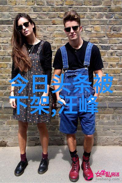 数字的秘密语言解析300501背后的含义与故事