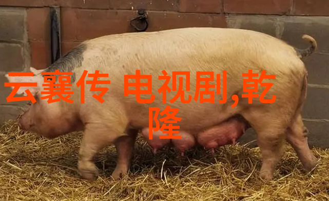 色情电影禁忌与欲望的边界探索