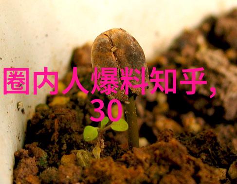 河边的错误2021新蜘蛛侠电影预告热映粉丝期待角色新转身