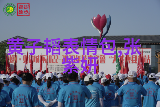 综艺3国智秀文化交流的奇妙组合