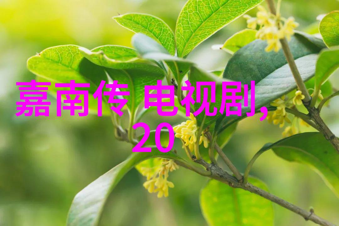 八卦罡步口诀的神秘力量