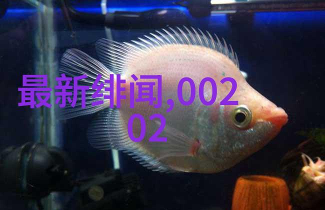 奇闻怪事超自然现象下的秘密世界
