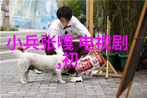 紫影迷踪杨紫主演电视剧全集