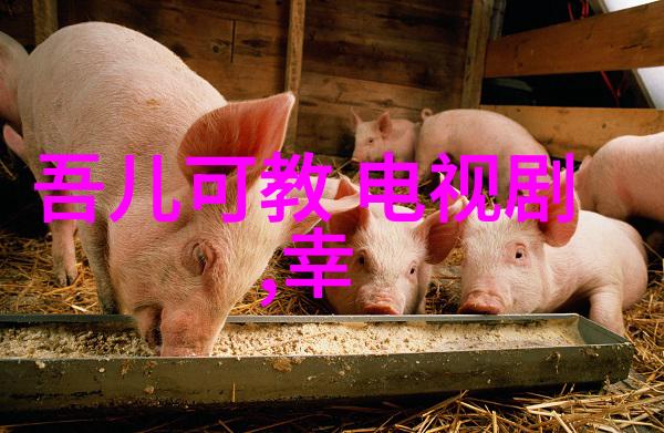 最流行网络歌曲我的音乐青春回忆