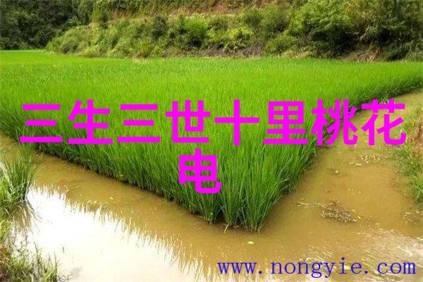 小视频尝鲜体验探索短视频新玩法