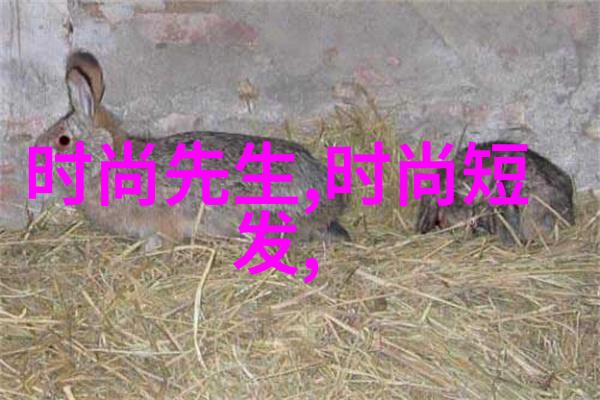 镜头背后的故事那些能够精准识别图片原始数据的神器有哪些