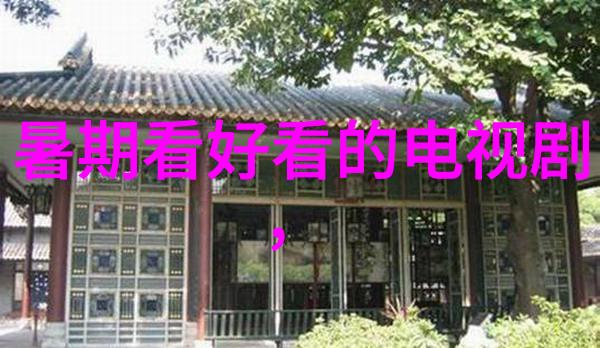 暗网之巢国外b站直播app的秘密世界