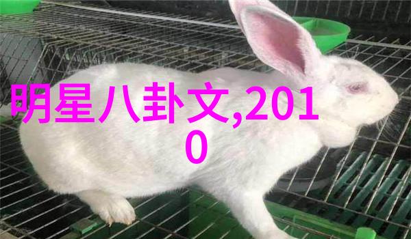 在家自学简笔画遇到困难该如何解决