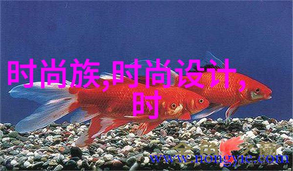 最流行的图片和好看图片我来告诉你这些超火爆的网上热门美图