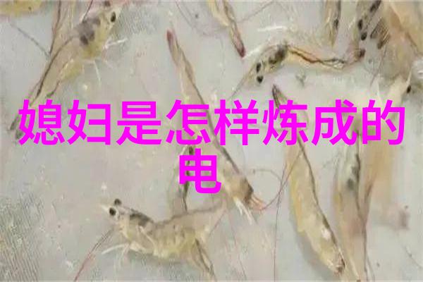 霍尊我是唱作人2带来回忆杀重返90年代美好生活记忆与自然和谐共处享受经典老歌100首的温馨旋律