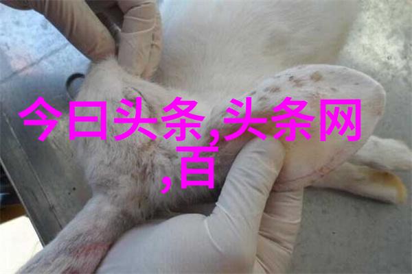 南波万的聚会2综艺节目免费观看黄圣依与杨子甜蜜恩爱互怼引人入胜