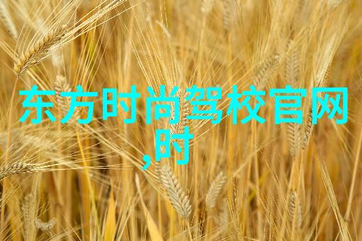 旋律之旅探索最佳无偿音乐体验