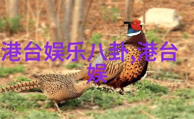 肖战与杨紫青春偶遇的温柔时光
