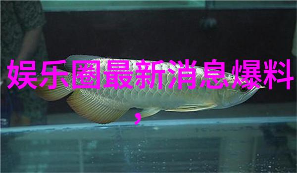 开源软件革命自主开发的图片来源识别系统探索