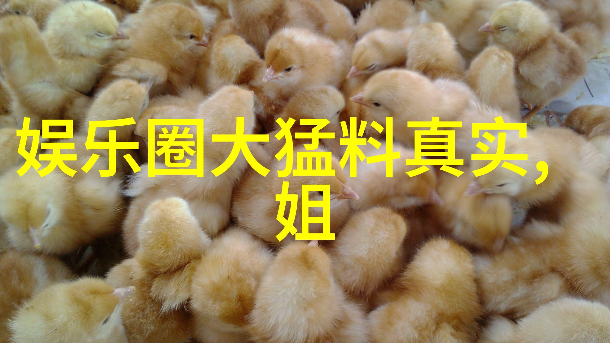 先天八卦图解析深入理解先天八卦的结构与 symbolism