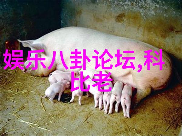 粉丝头条我的偶像明星即将公开新歌曲