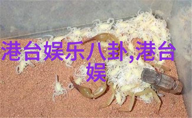 在拍摄美女写真时通常会使用哪些特殊的光线和设备