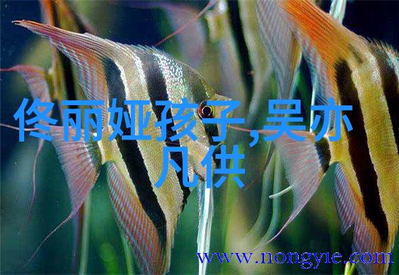 娱乐圈恋爱预约系统引路星的秘密指南