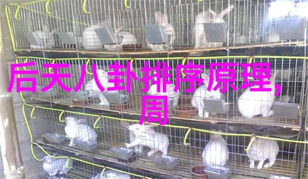 何冰电视剧花语时生日演唱会北展剧场再度绽放时隔一年回响的音符将带来前所未有的旋律盛宴