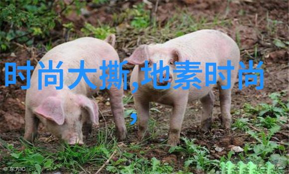 孤注一掷 电影我把所有的一切都押在了这部电影上