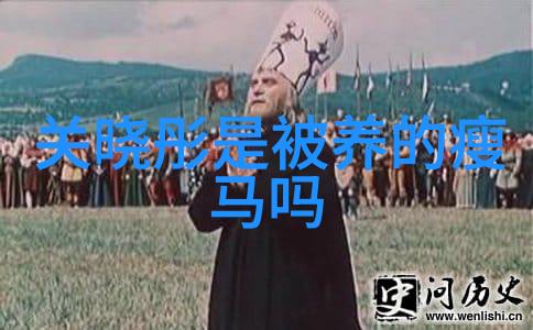 青春网红如何平衡虚拟与现实的影响力