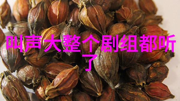 世间有她主演曝光热映电影中豪华阵容如何重新定义女性电影