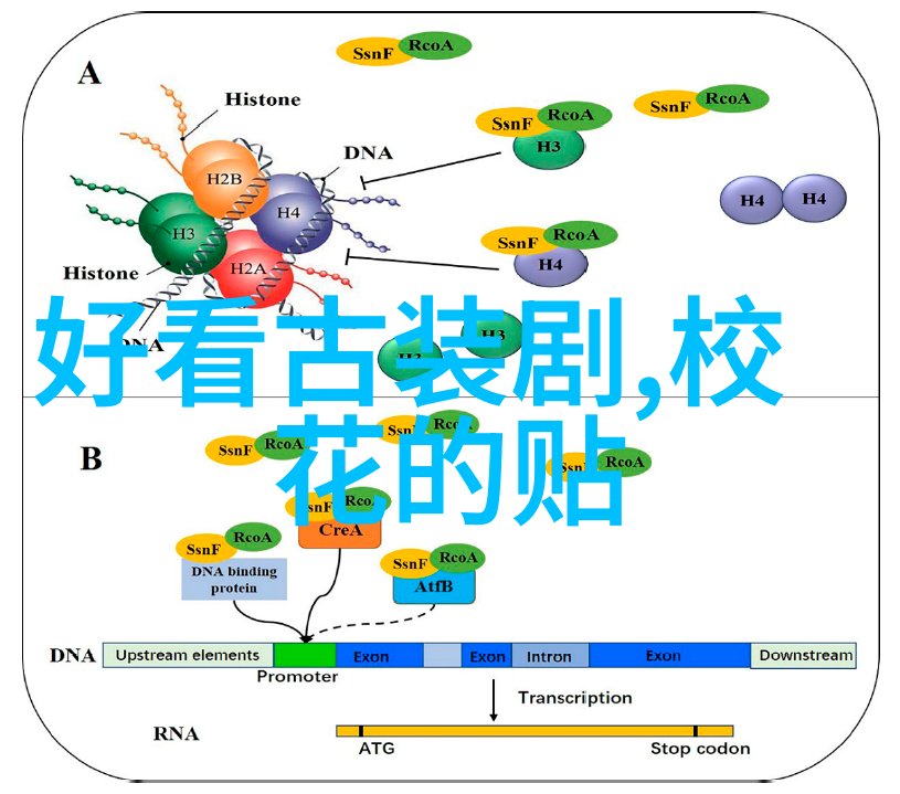 音响世界无缝旋转的节拍之旅