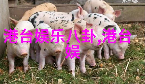 黄景瑜写真探究镜头下的历史与人文情怀