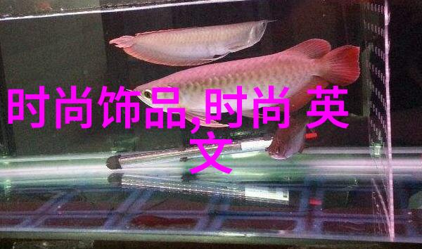 在日本成人综艺中泡脚的最佳时刻究竟是什么时候是不是每天都应该沉浸在温暖的水中放松疲惫的身心呢让我们一
