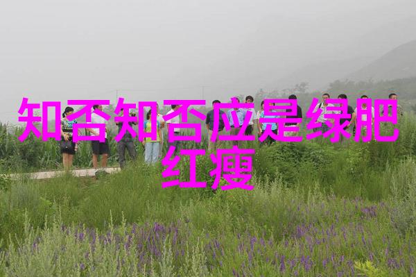 卦象解析揭秘八个基本图案的深层含义