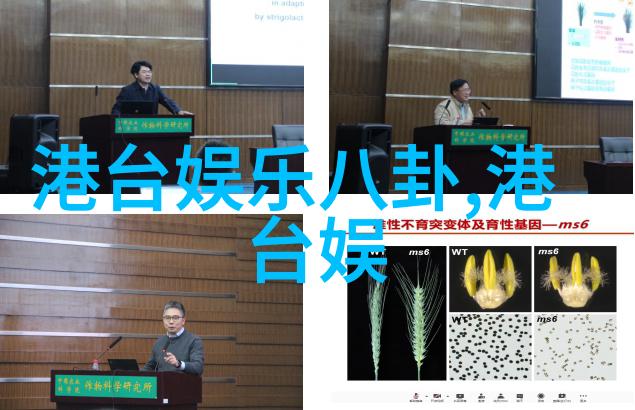 加速生活用手机捕捉时光飞逝的瞬间