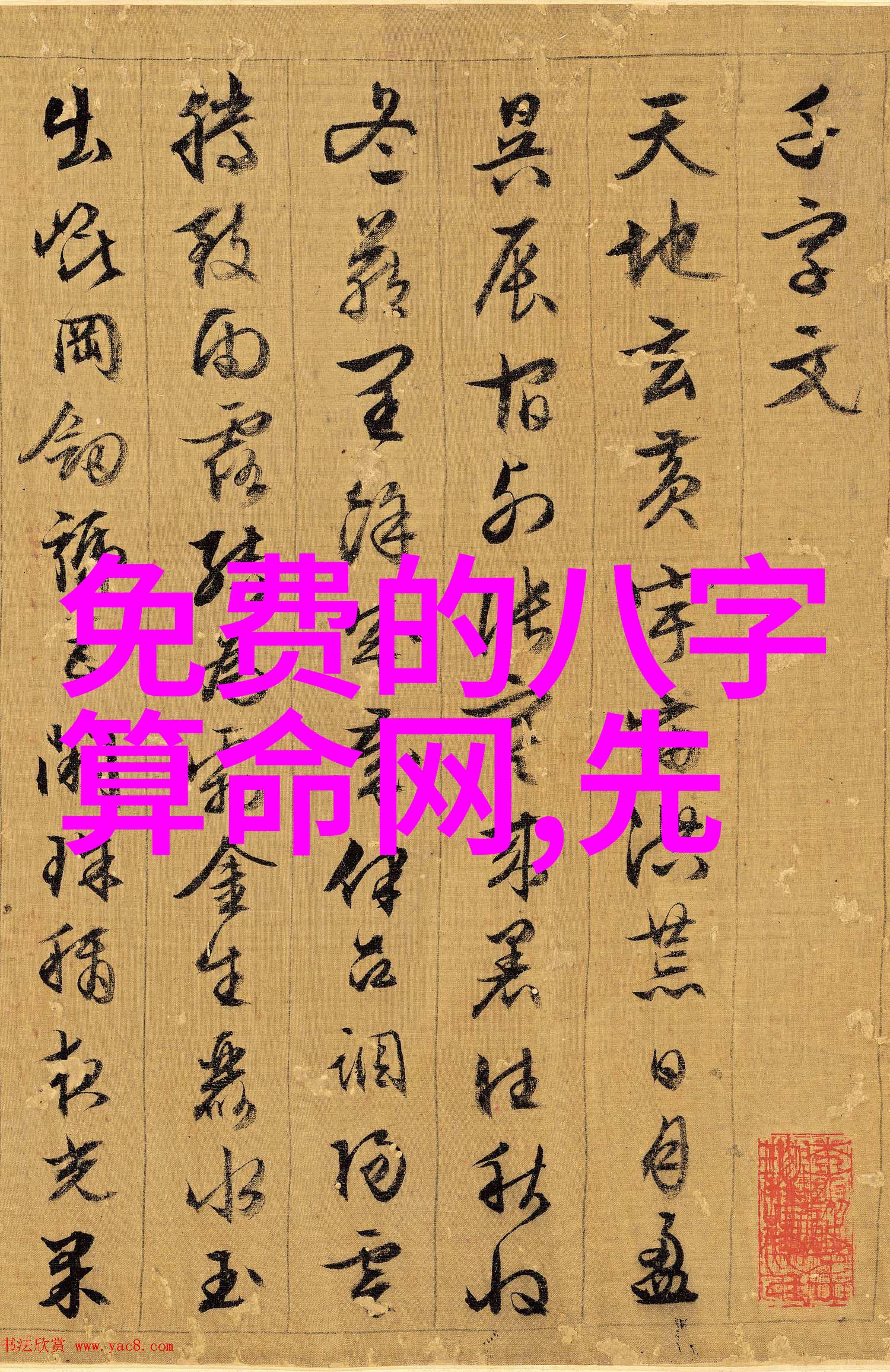 中国网红之都揭秘哪个省份拥有的流量最旺盛