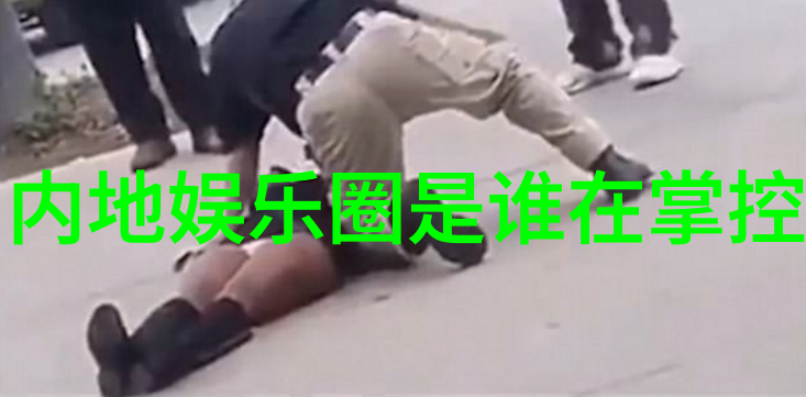 银幕上的梦想如何在网络上追寻日本电影的美妙世界