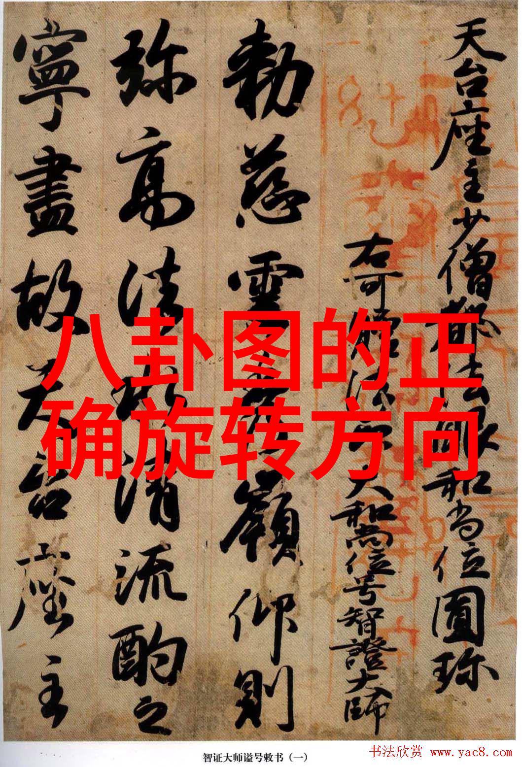 泰囧票房逆袭超越一九四二黑马之势星光璀璨反复证明其商业神话