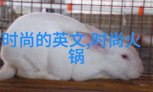 皇家娱乐指南揭秘夜总会的高级玩法