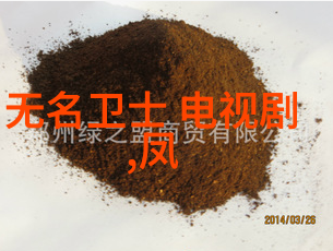 超级明星与她的粉丝王思聪对雪梨的热爱