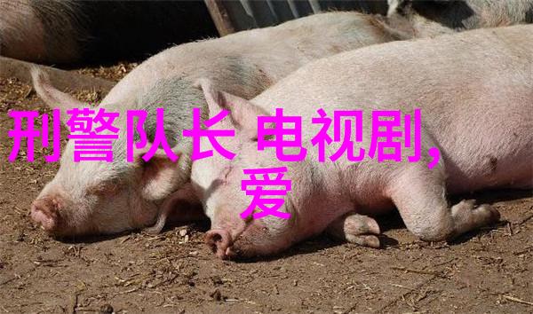 大胆艺术写真时尚摄影创意风格自由表现