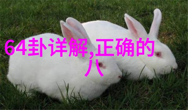 影视逃生在电影天堂里找寻笑声