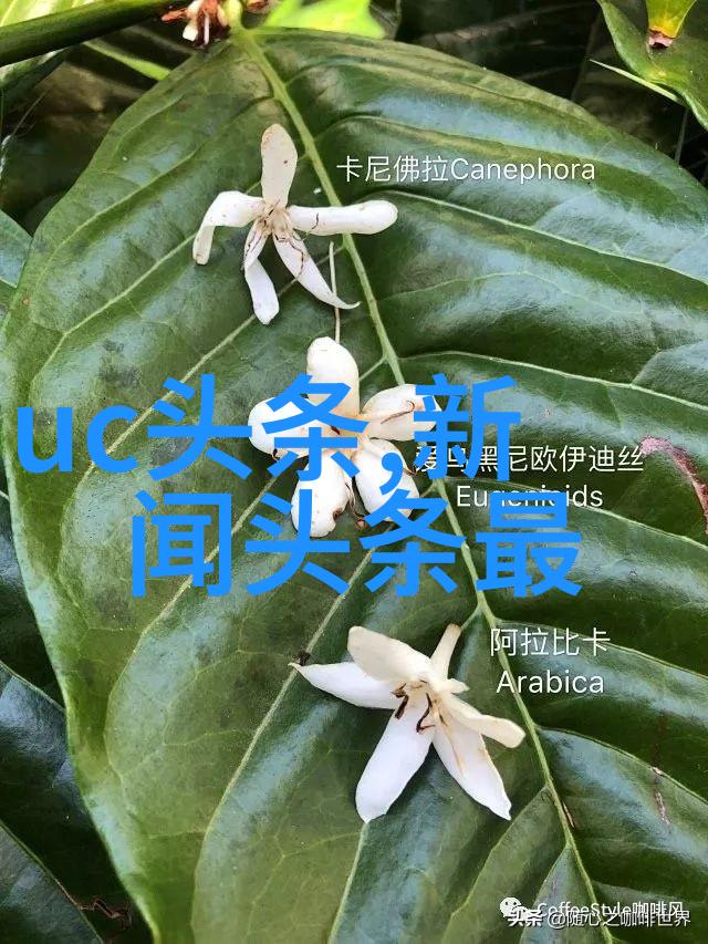 无损音乐天堂免费下载高品质MP3歌曲的秘密库藏地