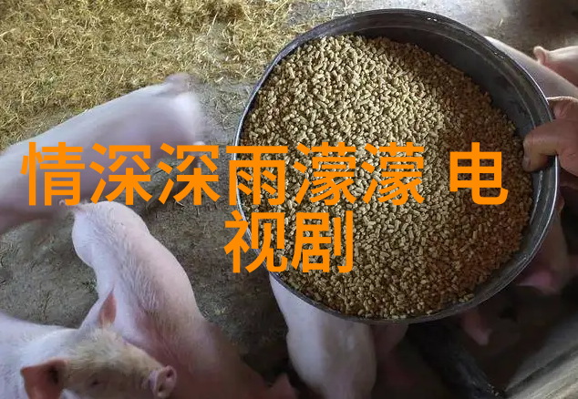 天地万物之根源探索先天八卦与五行的奥秘