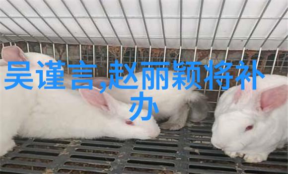 心累时请记得我不是孤独一人  与压力的共同抗争