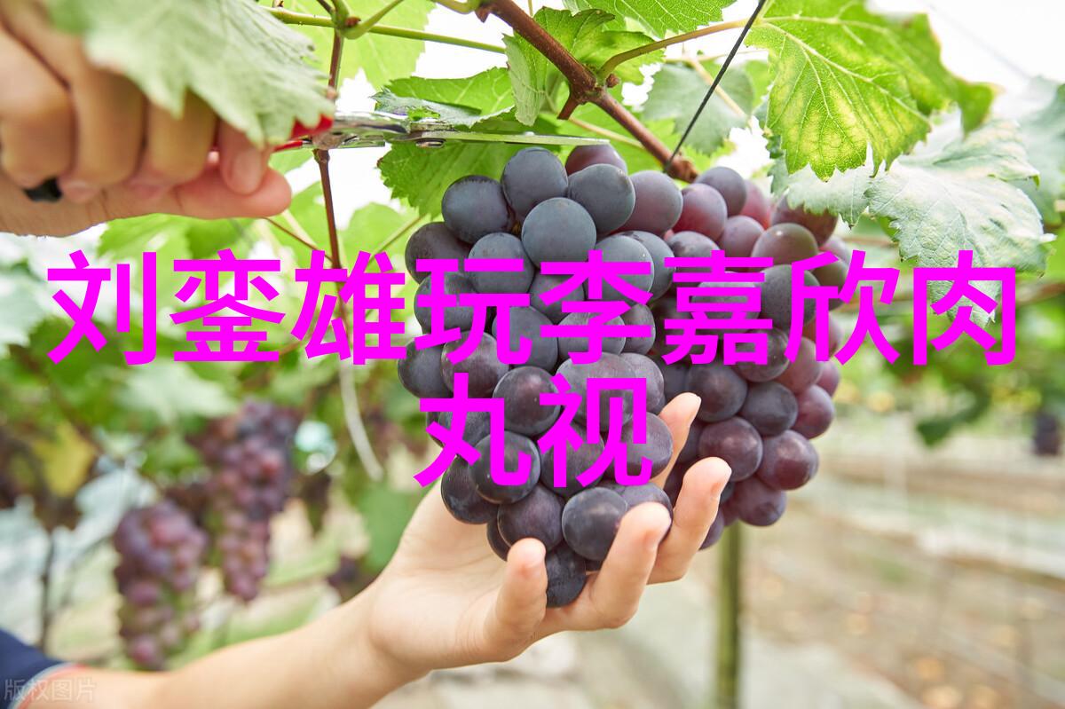 写真我是如何在一张照片里找到我的青春的